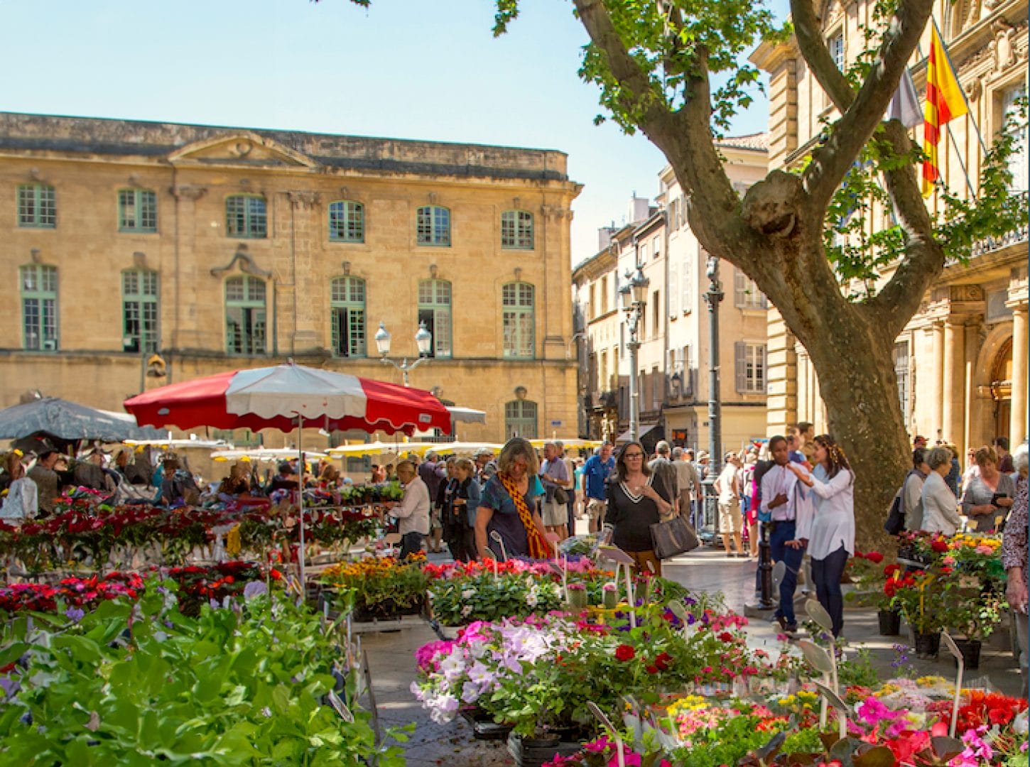 Les marchés d'été à Aix-en-Provence